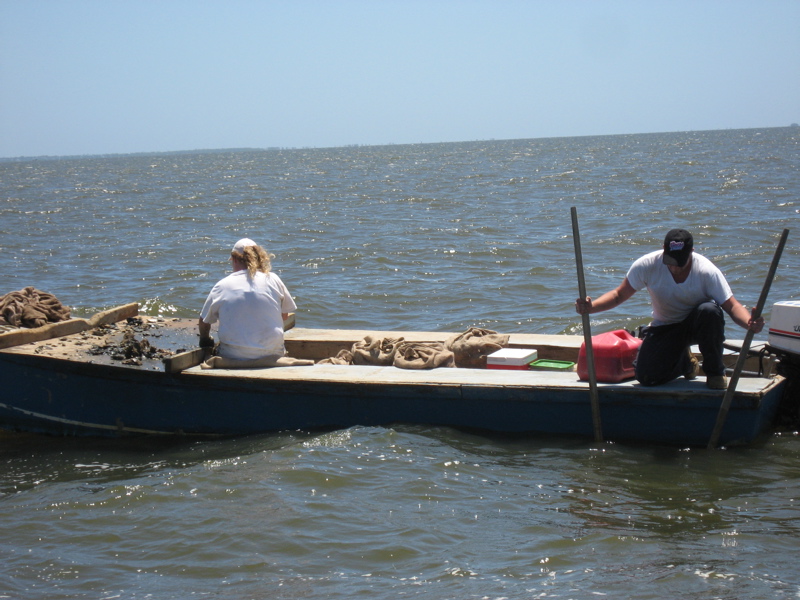 APALACHICOLA, FLORIDA | Sweet Leisure